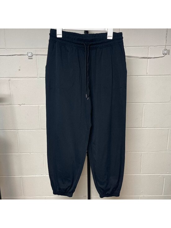 SAGE collective Pants - Women's Sage Collective Black Jogger Pants Large Stretch Pull On Athleisure